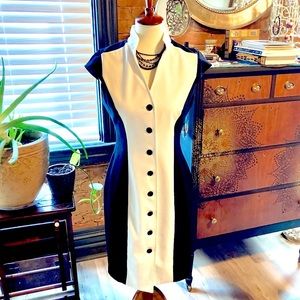 Classic button-down sheath dress